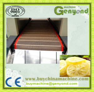 High Efficient Belt Tunnel Type Sliced Fruit and Vegetable Drying Machine